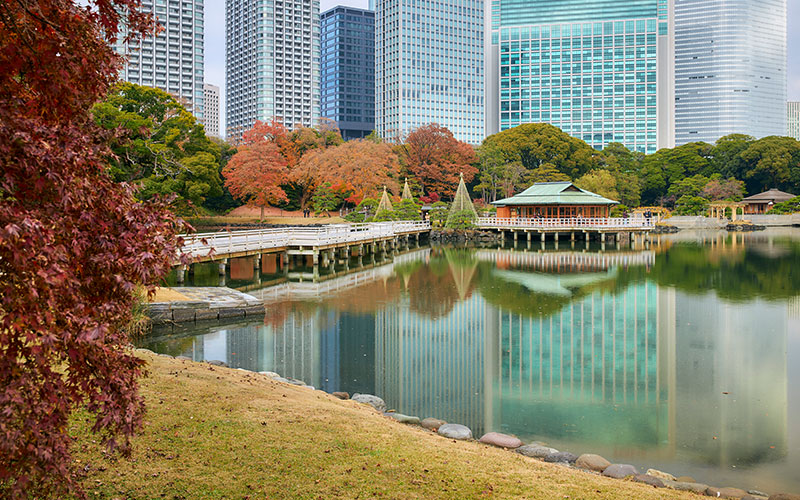 浜離宮恩賜庭園で紅葉散歩